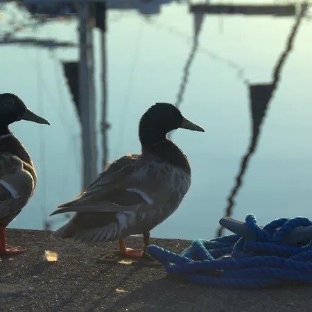 Apartament Ancora Marina Haus 2 Nr 03, Typ 2